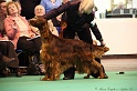 Crufts2011_2 178